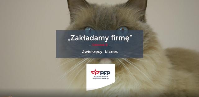 Zakładam własną firmę - zwierzęta i biznes