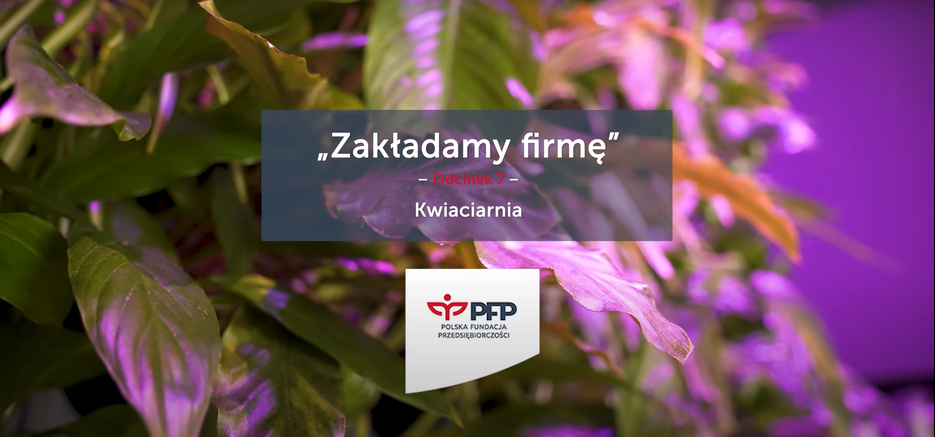 Zakładam własną firmę – jak założyć kwiaciarnię?