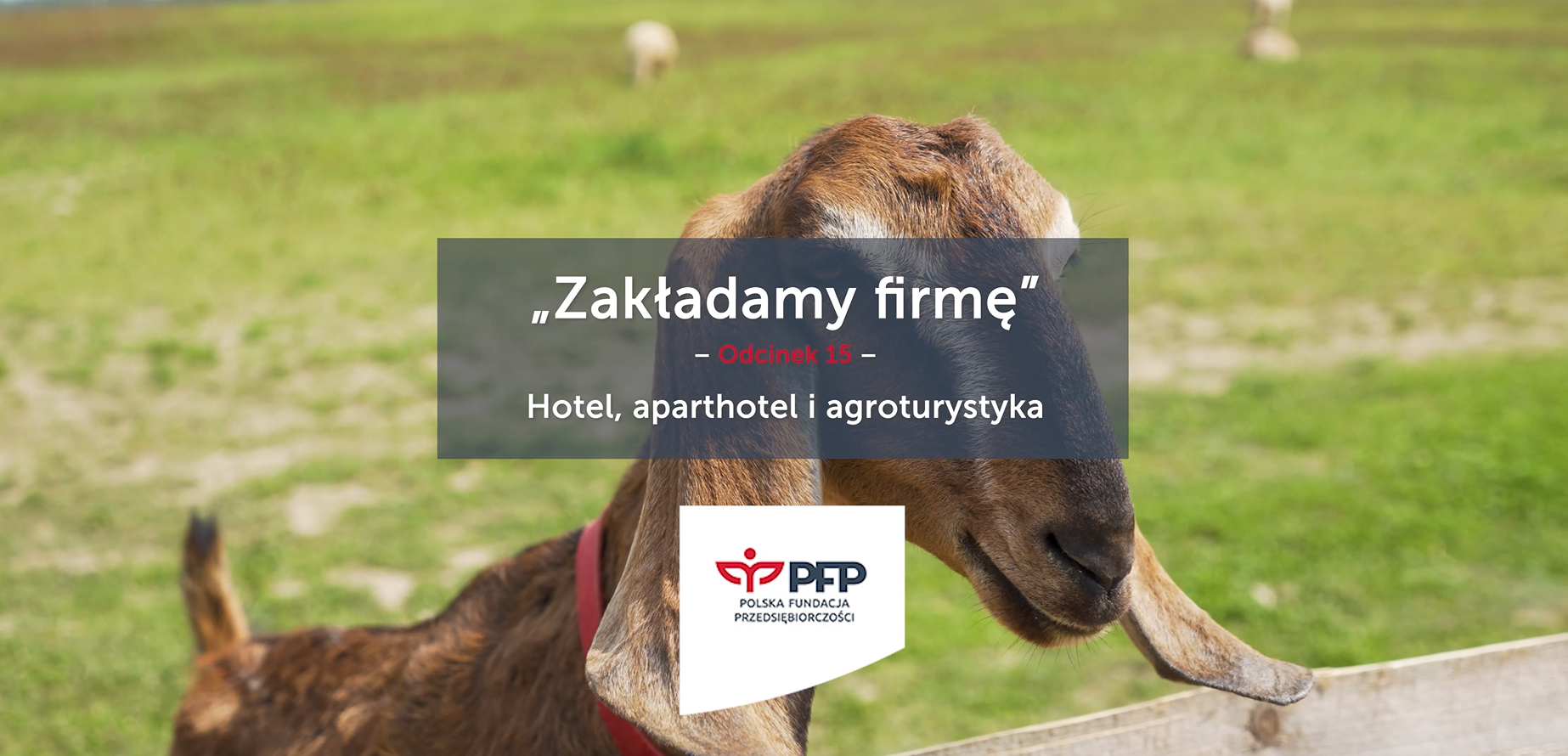Zakładam własną firmę – agroturystyka, hotel, aparthotel